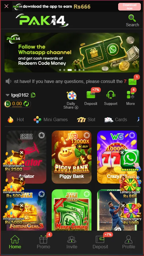 Pak14 Game home screen showing mobile gaming dashboard