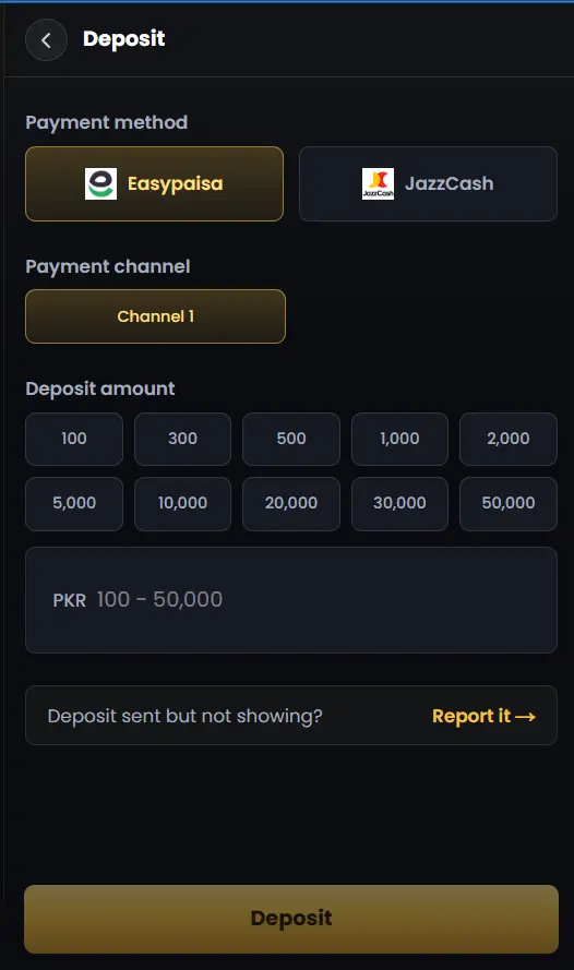 deposit section with available payment options
