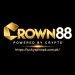 C88PKR Game logo with luckyspinapk.com.pk branding