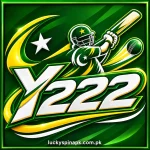 Y222 Game logo